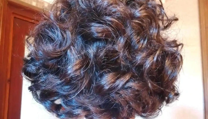 Club de Rul@s. Especiasta en Rulos - S4