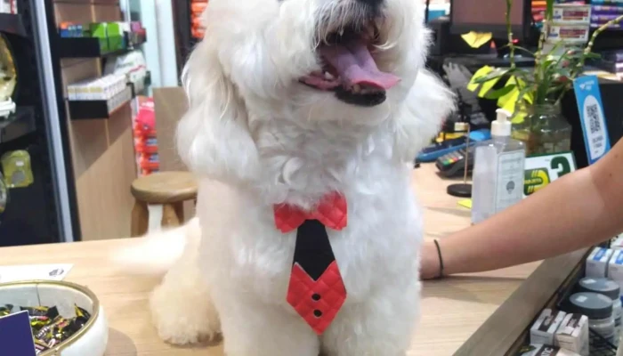 Club Pet´s Uruguay - 40000 Rivera