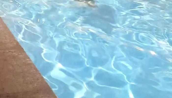 Club Remeros Mercedes -  Piscina - Mercedes