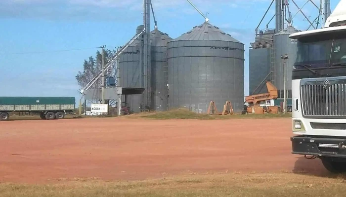 Cofco Intl Checkpoint - 70700 Nueva Palmira