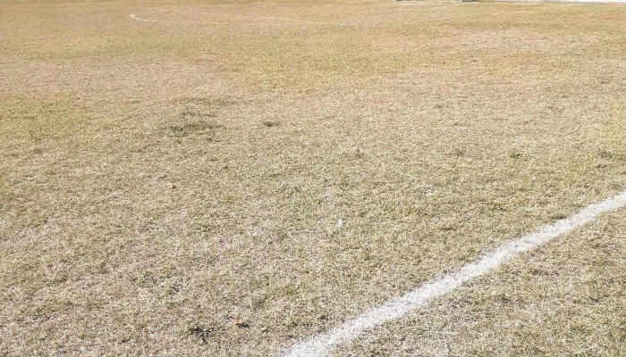 Cohami Baby Fútbol - 12900 Montevideo