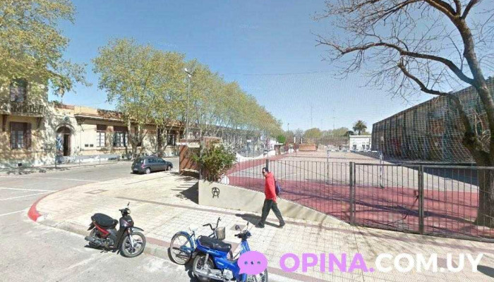 Colegio Bilingue American School - Trinidad