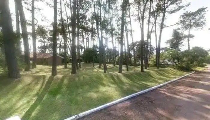 Colegio Growing Up -  Cerca De Mideg - Punta del Este