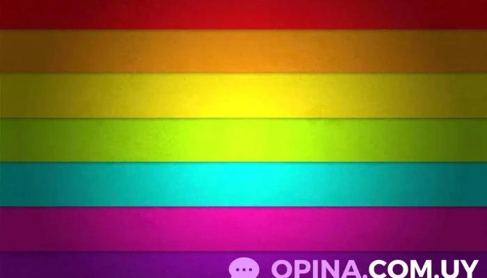 Colegio My toys - Ciudad De La Costa