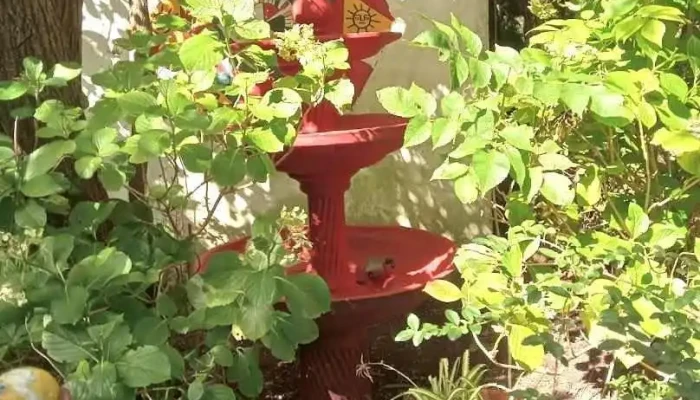 Colegio Padre Pio - Maldonado