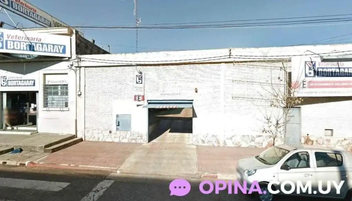 Colegio Parroquial Santa Cruz Salto - Salto