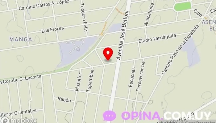 mapa de Colegio Reina Reyes Colegio privado en Montevideo