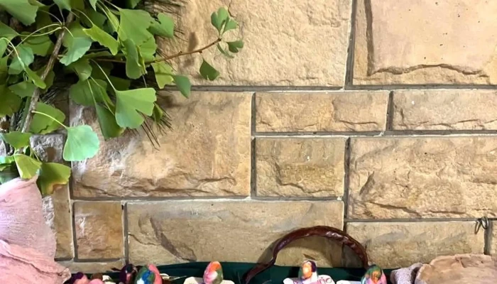 Colegio Waldorf Rudolf Steiner Uruguay -  Comentarios - Montevideo