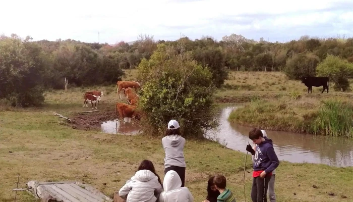 Colegio Waldorf Rudolf Steiner Uruguay -  Del Propietario - Montevideo