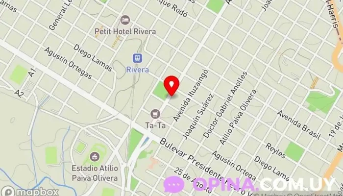 mapa de Colegio Ziraldo Jardín de infancia en Rivera