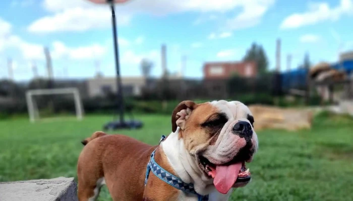 Colinas Del Mirador -  Sitio Web - 18 de Mayo