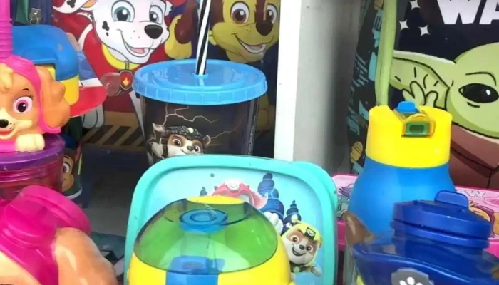 Collage -  Videos - Maldonado