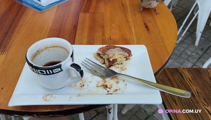 Colonia Sandwich Coffee Shop:  Videos