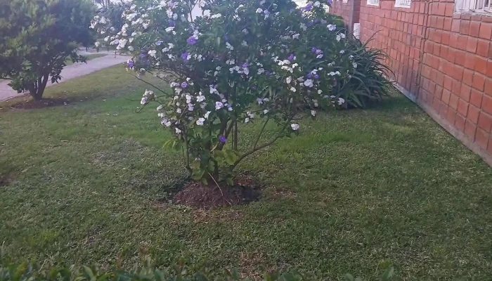 Complejo El Molino -  De Los Visitantes - Las Piedras
