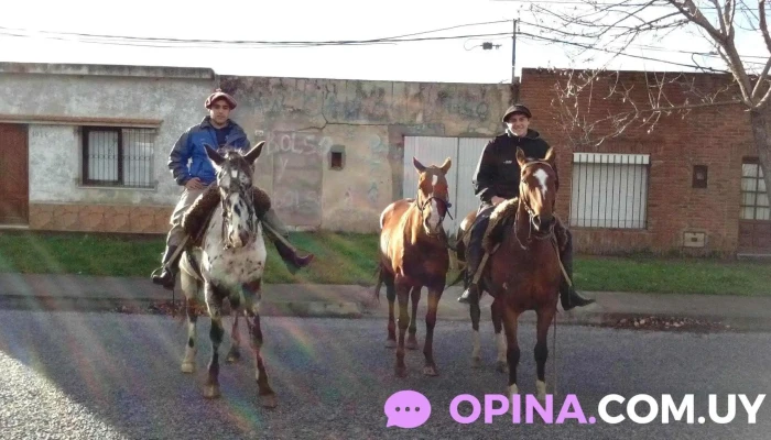 Complejo Habitacional B30 -  De Los Visitantes - San Carlos