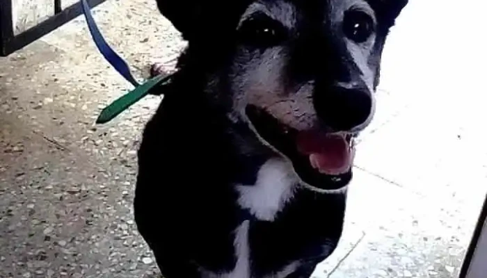 Complejo Habitacional B30 -  Videos - San Carlos