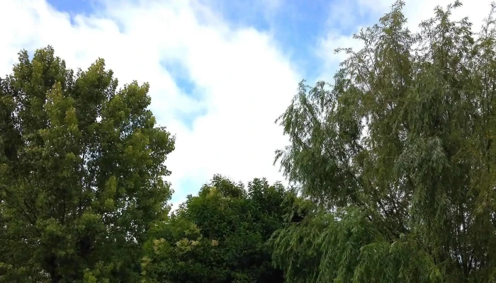 Complejo Habitacional Campo Español - Montevideo