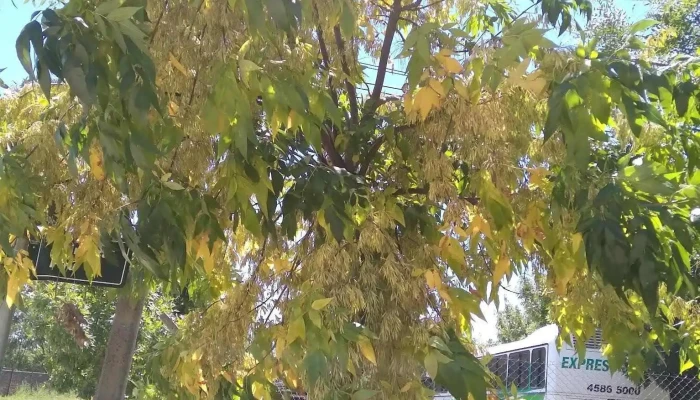 Complejo Habitacional Inve Del Barrio Charrua De Los Visitantes - Juan L. Lacaze