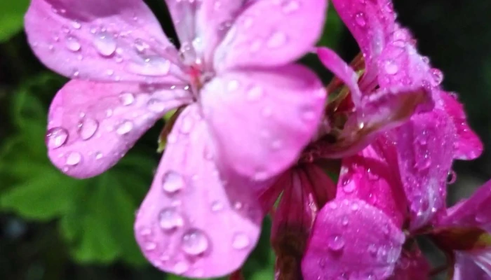 Complejo Habitacional Millan Y Lecocq Calle 5 Descuentos - Montevideo