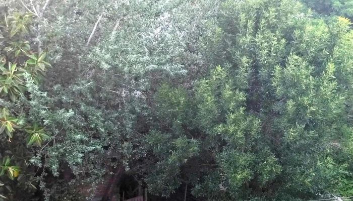 Complejo Habitacional Millán y Lecocq - Montevideo