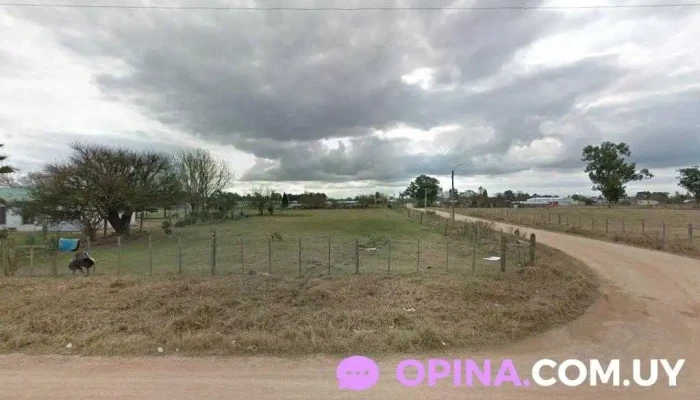 Conaprole - 33000 Treinta Y Tres