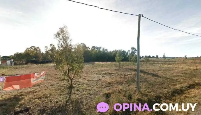 Conrado Rosendo - Col. Del Sacramento