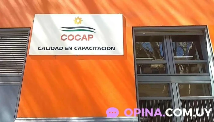 Consejo Capacitacion Profesional   Cocap Videos - Montevideo