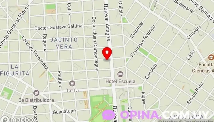 mapa de Consul Agentes inmobiliarios en Montevideo