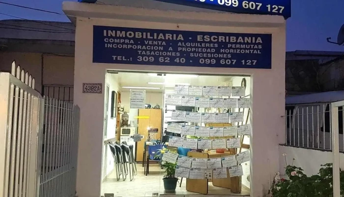 Consul Negocios Inmobiliarios Videos - Montevideo