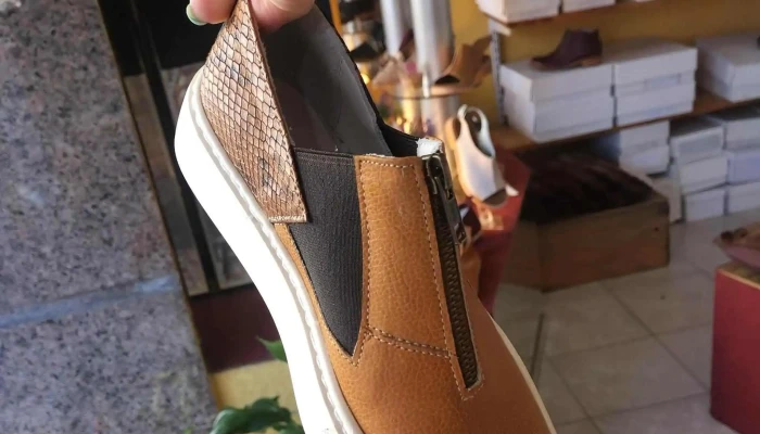 Consultorio De Reddentis 73 Numero - Montevideo