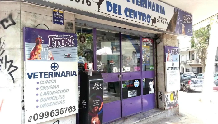 Consultorio Dr. Alejandro de los Santos - 11100 Montevideo