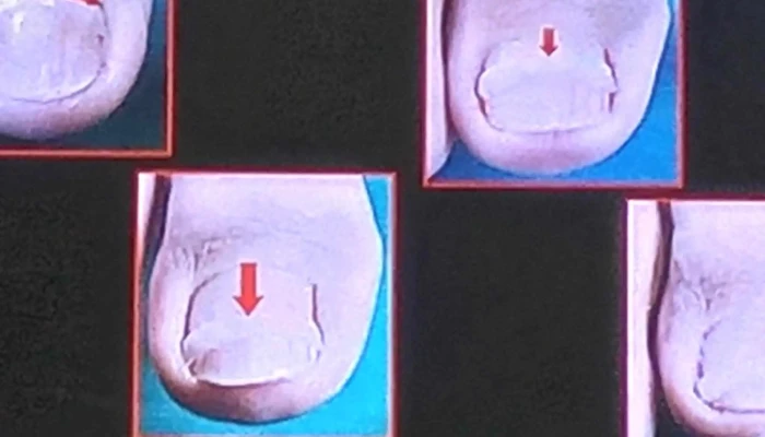 Consultorio Pies Libres - 15600 Pando