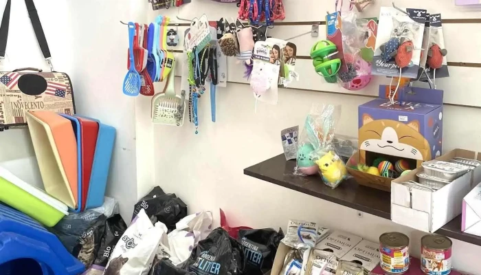 Consultorio veterinario Dra. Angelina Vilche - 30000 Minas