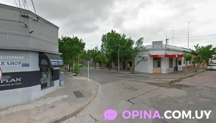 Consultorio Veterinario Veter Shop - 75100 Dolores