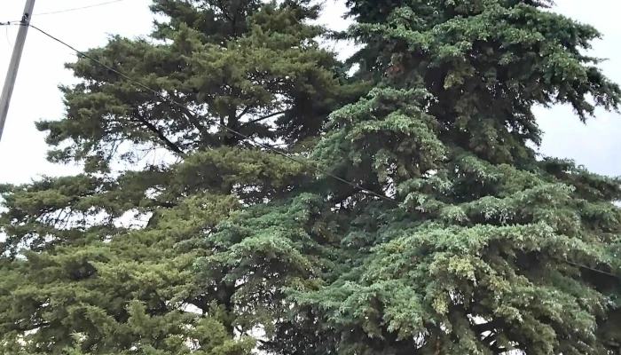 Cooperativa 3 De Abril Mesa 4 Fucvam Ubicacion - Montevideo