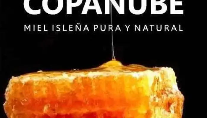 Cooperativa Apícola Nuevo Berlín - Nuevo Berlín