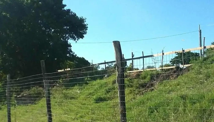 Cooperativa Codel -  De Los Visitantes - Montevideo