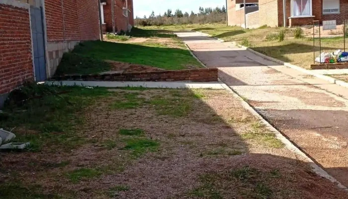 Cooperativa Covi 33 -  Mas Recientes - Treinta y Tres