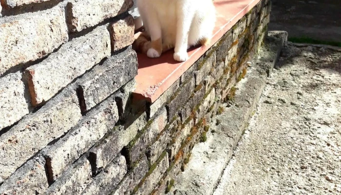 Cooperativa Coviblap - Las Piedras