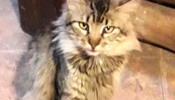 Cooperativa Coviblap -  Puntaje - Las Piedras