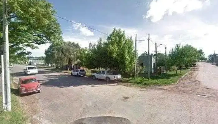 Cooperativa Covifauny -  Zona - Young