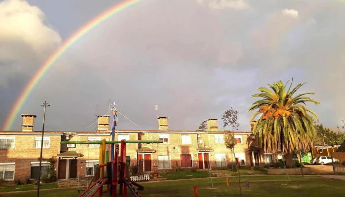 Cooperativa Covipalma -  De Los Visitantes - Montevideo