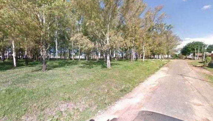 Cooperativa De Viviendas Covisi Young Cerca De Mi - Young