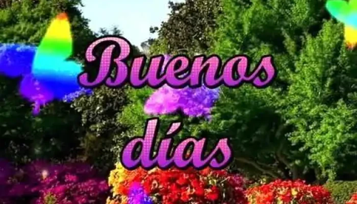 Cooperativa Tebelpa -  Videos - Montevideo