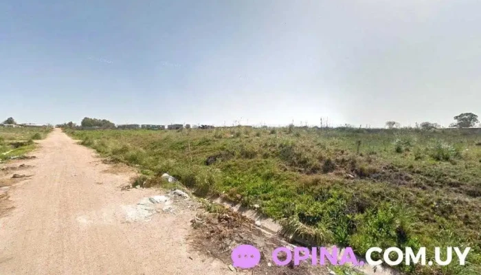 Coovi Tpc - Montevideo