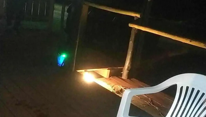 Coovilapa -  De Los Visitantes - La Paloma