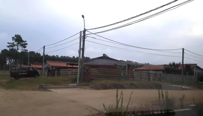 Coovilapa -  Videos - La Paloma