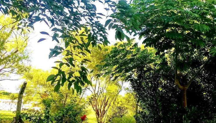 Coperativa Nilo -    Villa Teresa De Los Visitantes - Montevideo