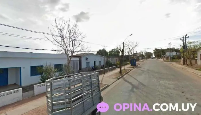 Coquetos Peluquería Canina - 33000 Treinta Y Tres