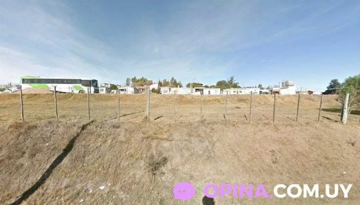 Corte de la leña - Minas